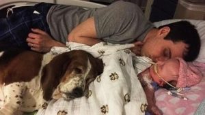 En basset som stannade med sin lilla ägare