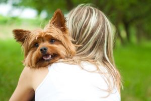 Så här vet du om din hund älskar dig