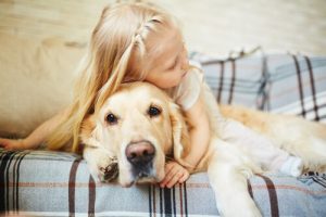 Varning: varför du inte ska krama din hund!