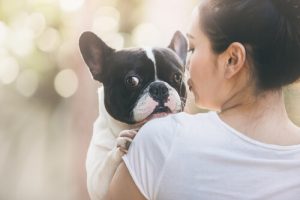 Ett brev från en adopterad hund till sin ägare
