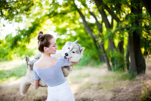 Hund bärs av flicka