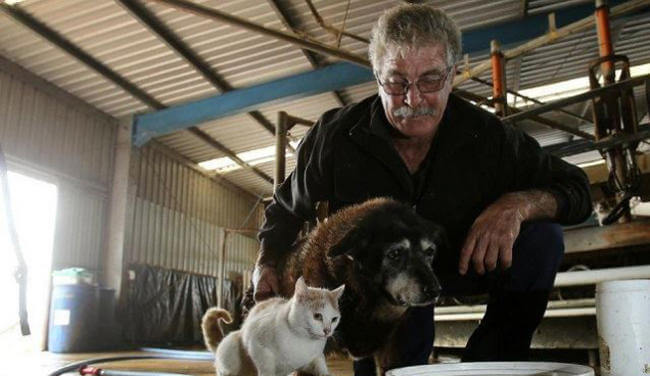 Man med hund och katt