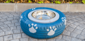 Hur du gör en hemgjord vattenskål till din hund