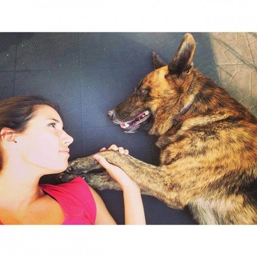 Hund ligger på golv med kvinna