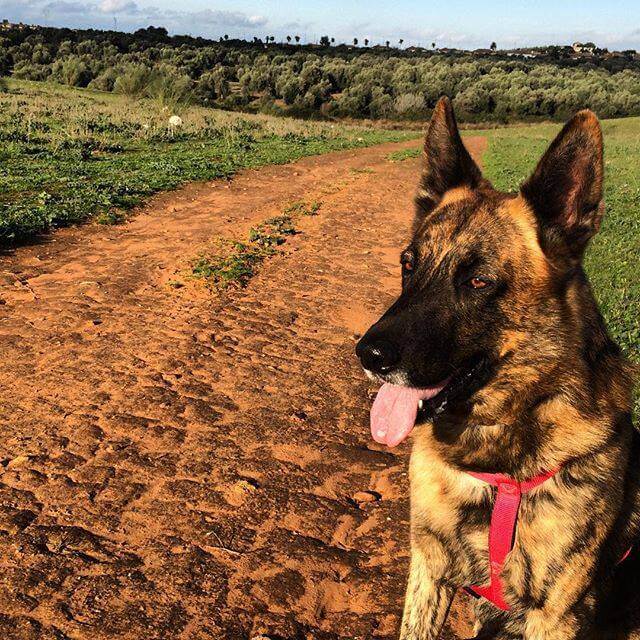 Du har alltid minnena