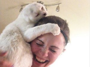 Otitis är en katt som hjälper sin ägare att övervinna ångest