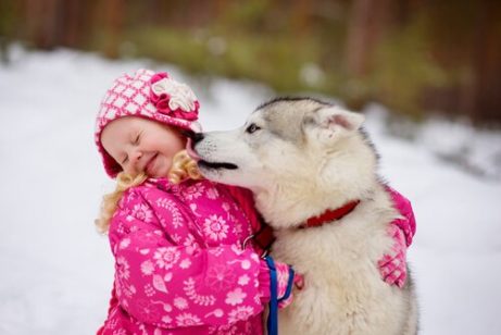 Hund som slickar flicka i ansiktet.