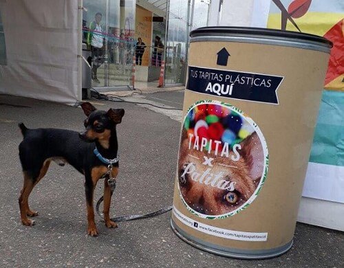 Återvinning för att hjälpa djur