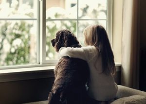 Djurassisterad terapi fungerar, men vilka djur används?