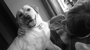 Hund räddar sin ägare av kärlek: läs hela berättelsen