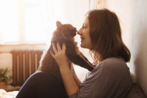 Vad behöver du för att ta hem en kattunge?