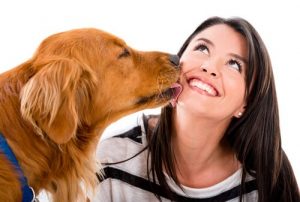 8 säkra tecken på att din hund älskar dig