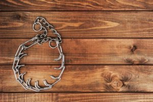 Olagliga hundhalsband: se till att undvika dem