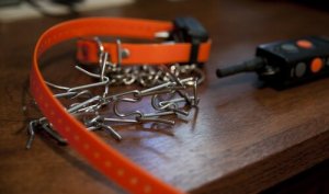 Straffhalsband sätter hundens hälsa i riskzonen