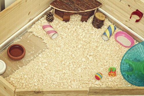 Leksaker för marsvin.