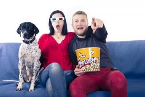 Fantastiska filmer du kan se med din hund