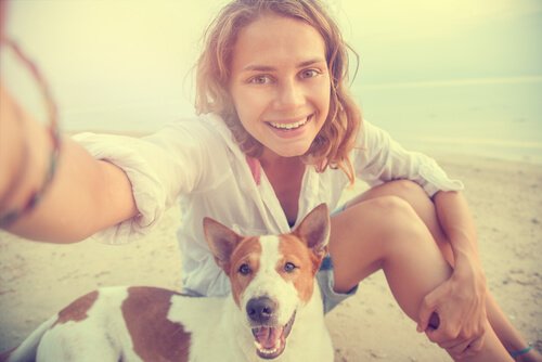 Hund på stranden