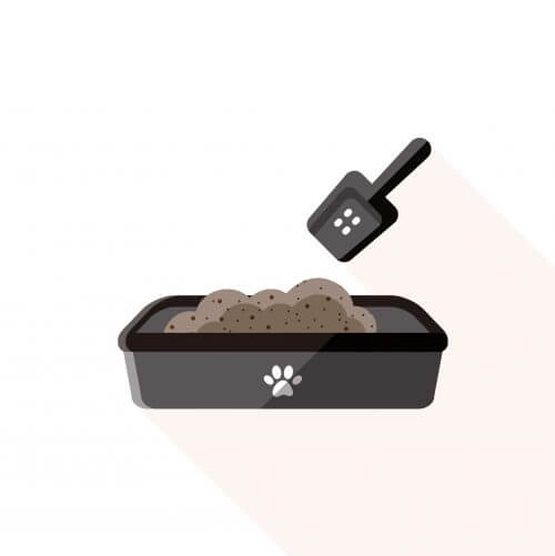 Låda med sand för hundar.