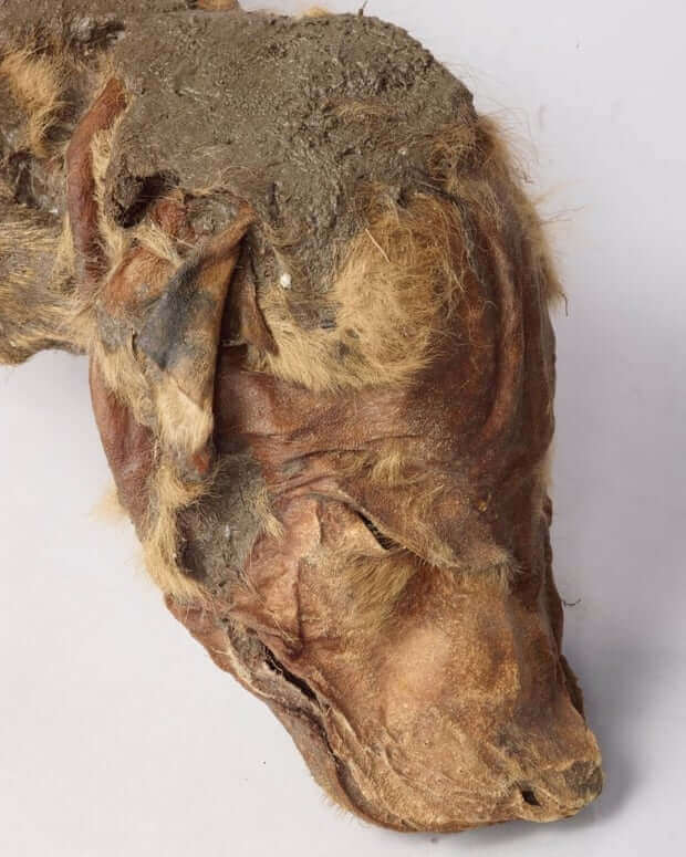 Some figure