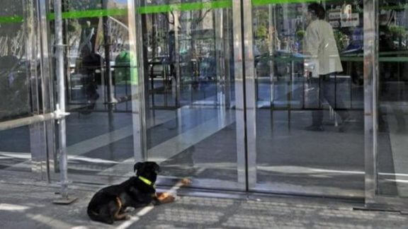 Champi utanför sjukhuset