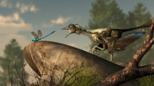 Vad vet vi egentligen om fåglarnas ursprung?