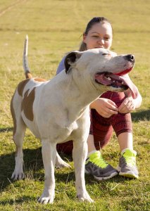 Pitbulls var en gång kända som "barnvaktshundar"