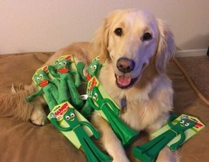 Hund reagerar på ägare utklädd som dess favoritleksak Gumby