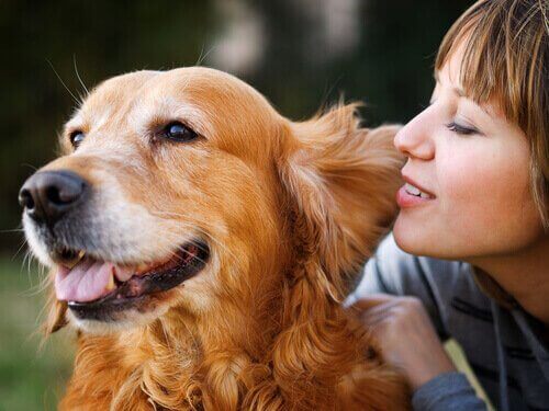 Person viskar till hund