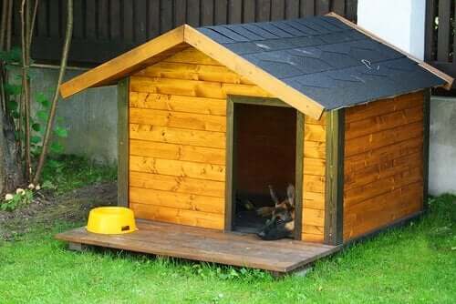 Hund sover i sitt hundhus.