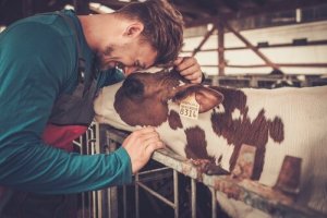 Farmakologiska produkter för djurfarmar