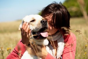 Oväntade fördelar med att krama din hund