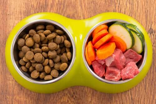 Hundmat och ingredienser