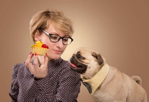 Mops vill ha muffins
