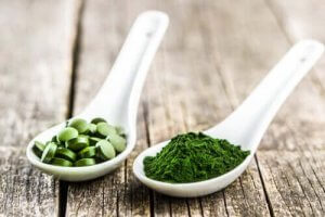 De tre huvudsakliga fördelarna med chlorella för hundar