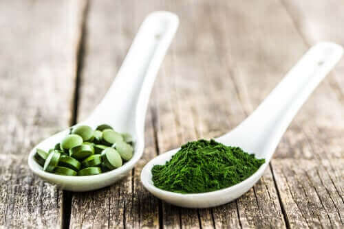 De tre huvudsakliga fördelarna med chlorella för hundar