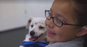 Walter – en hund som förstår teckenspråk