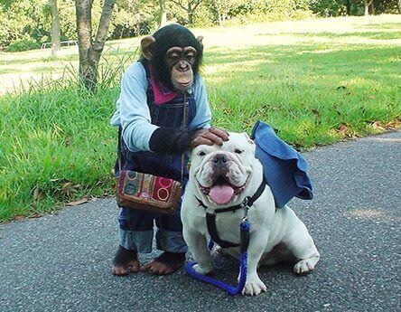 Pankun och James ute på vift.