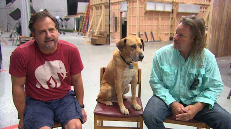 Hunden kato med ägare.