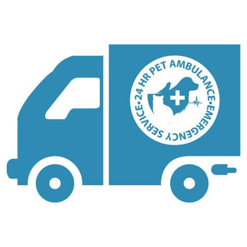 Ambulans för husdjur.