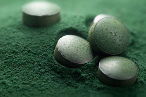 Är extrakt av spirulina bra för hundar?