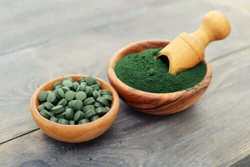 Fördelarna med spirulinatillskott för hundar