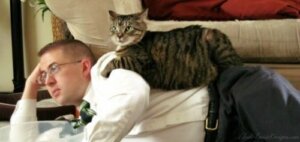 Användbara tips för att stärka bandet till din katt