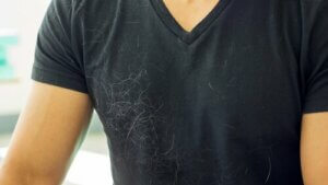 Tips för att få ett hårfritt hem även om du har hund