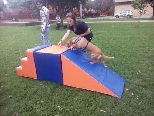På Body Dog tränar hundar också utomhus.