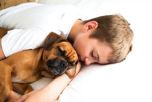 Barn sover med sin hund.