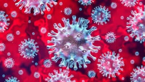 hundens coronavirus