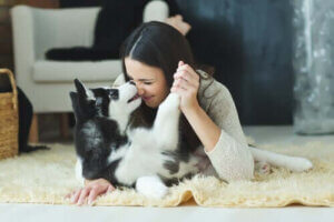 husky pussar sin ägare