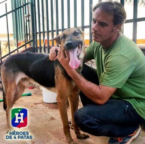 Adoptera en fyrfotad hjälte