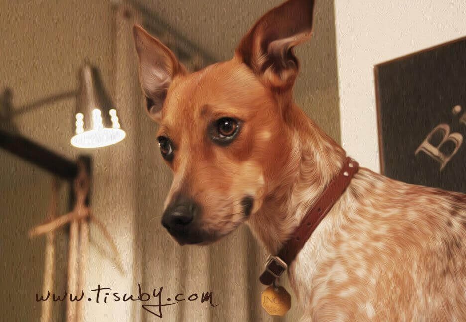 Mi Otra Mitad: Tisubys hund.