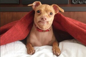 Tuna tittar in i kameran